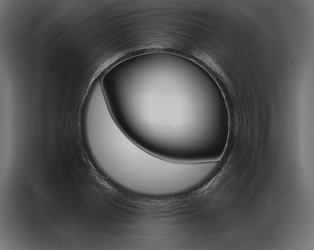X0000086940834200704161033