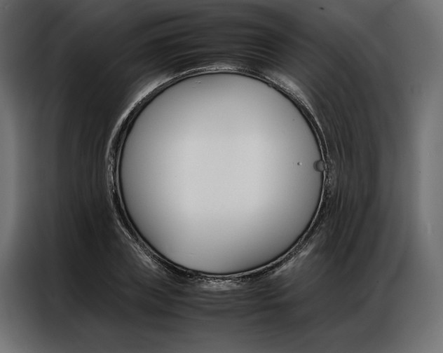 X0000086940835200704161033