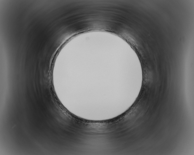 X0000086940836200704161033