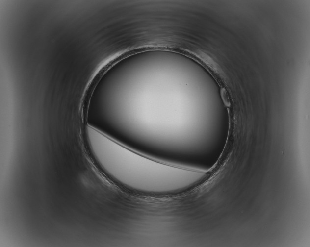 X0000086940838200704161033