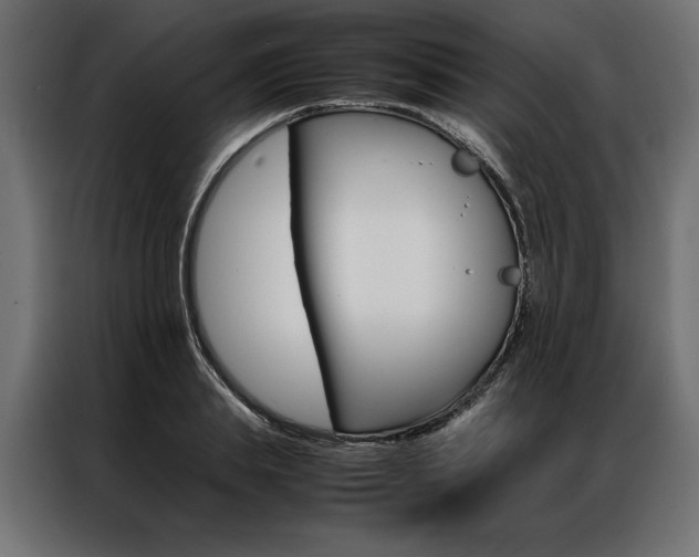 X0000086940839200704161033