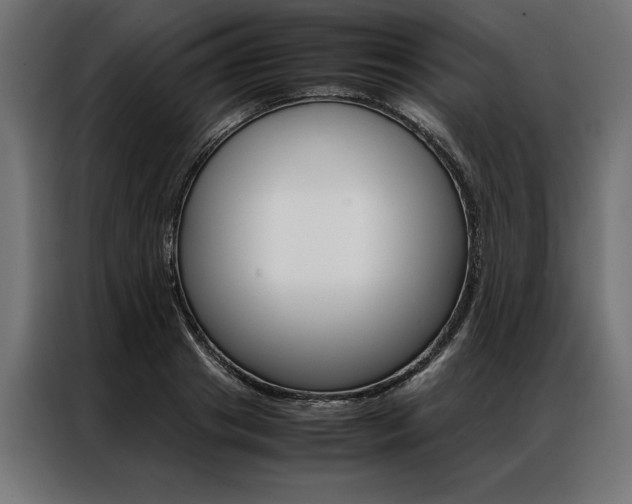 X0000086940841200704161033