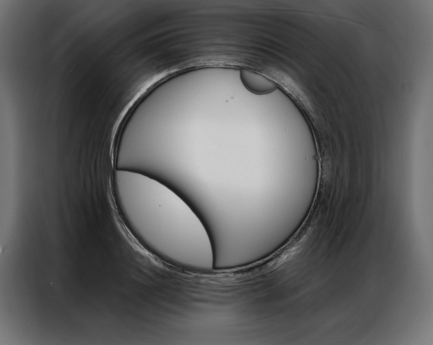 X0000086940844200704161033