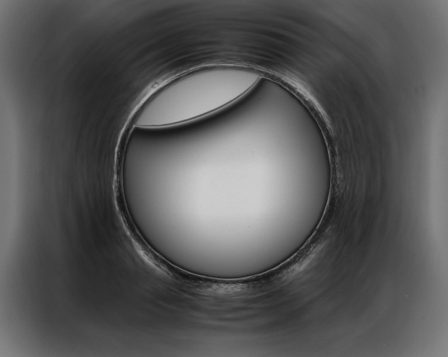 X0000086940845200704161033
