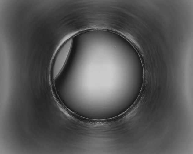 X0000086940846200704161033