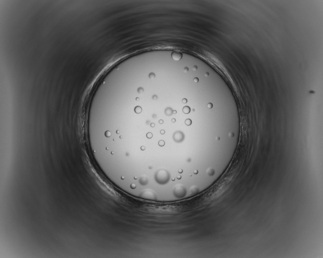 X0000086940851200704161033