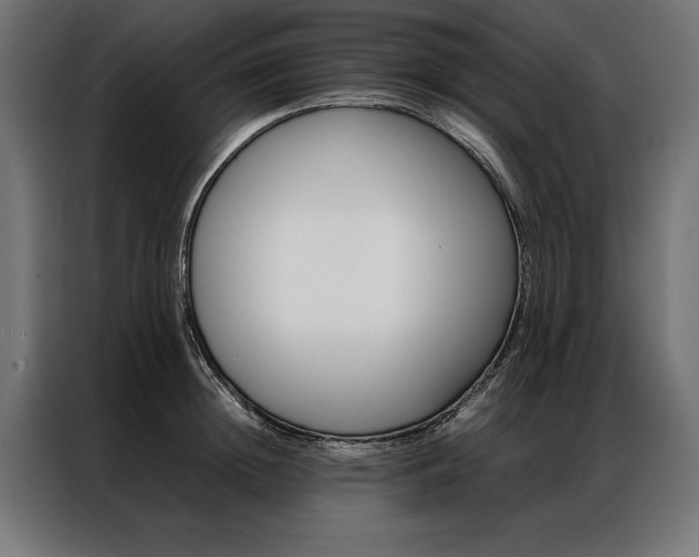 X0000086940852200704161033