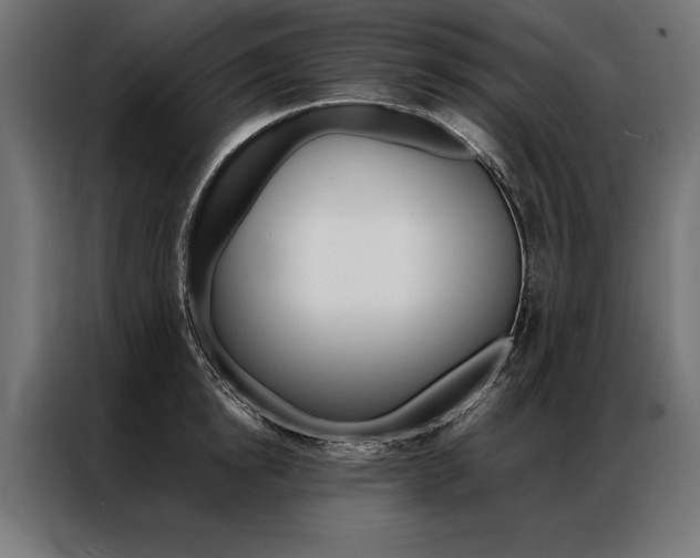 X0000086940854200704161033