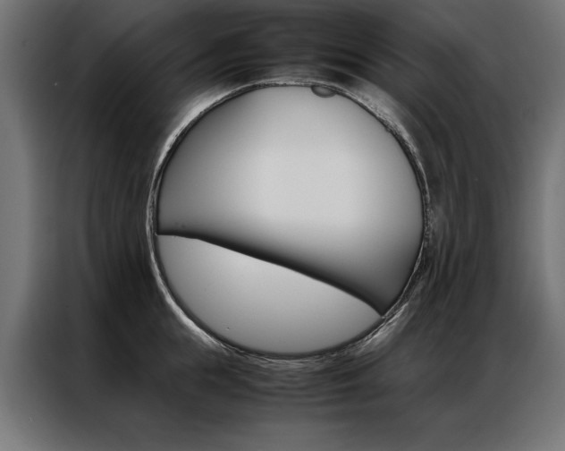 X0000086940855200704161033