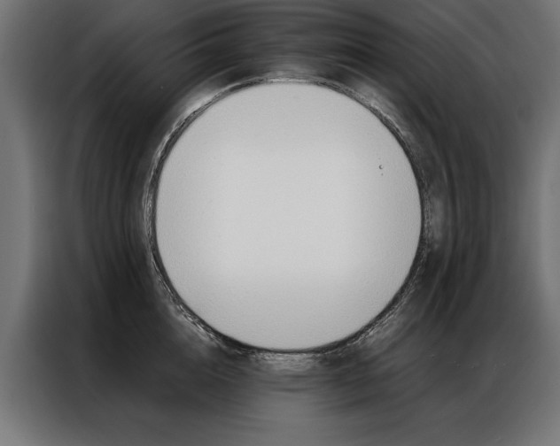 X0000086940856200704161033