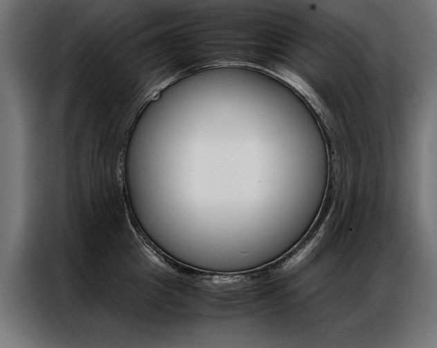 X0000086940857200704161033