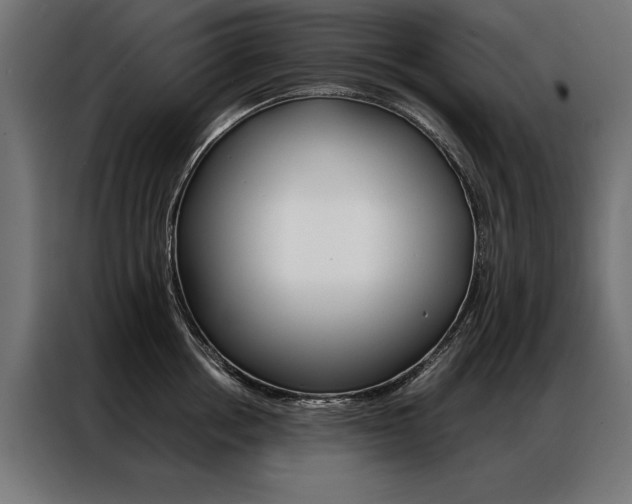 X0000086940858200704161033