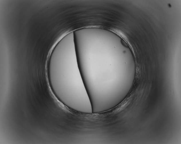 X0000086940859200704161033
