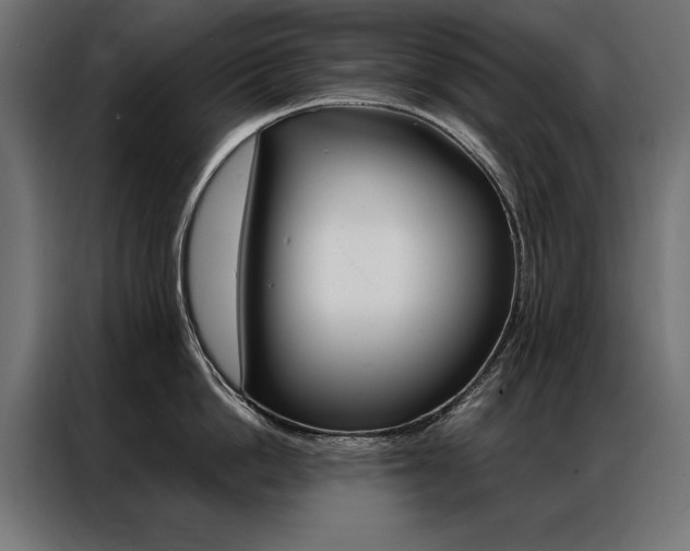 X0000086940862200704161033