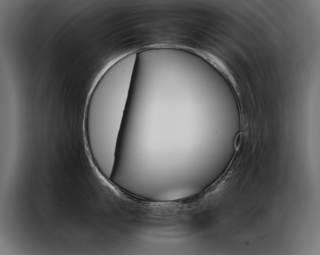 X0000086940863200704161034