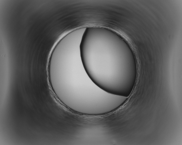 X0000086940864200704161034