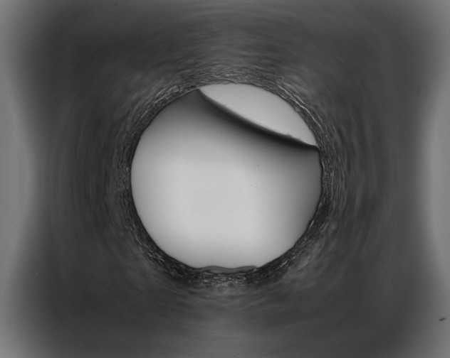 X0000086940865200704161033