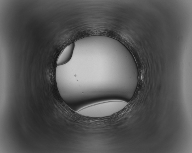 X0000086940867200704161033