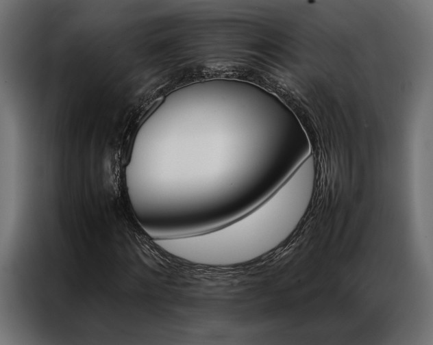 X0000086940868200704161033