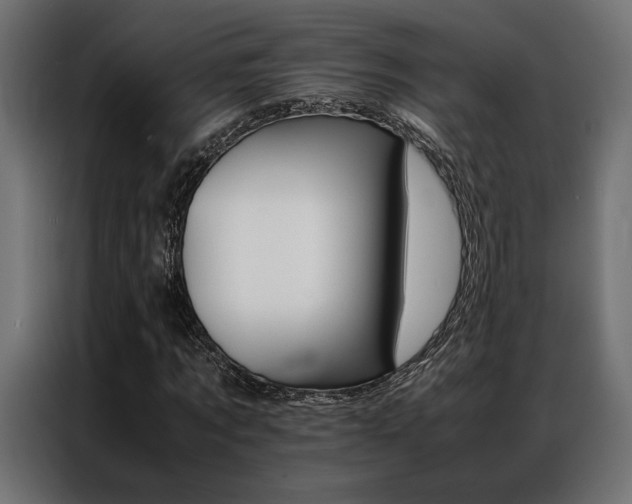X0000086940869200704161033