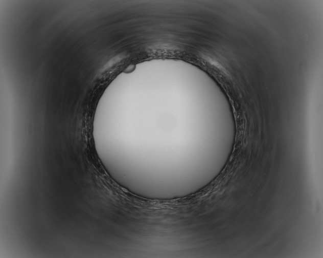X0000086940870200704161033