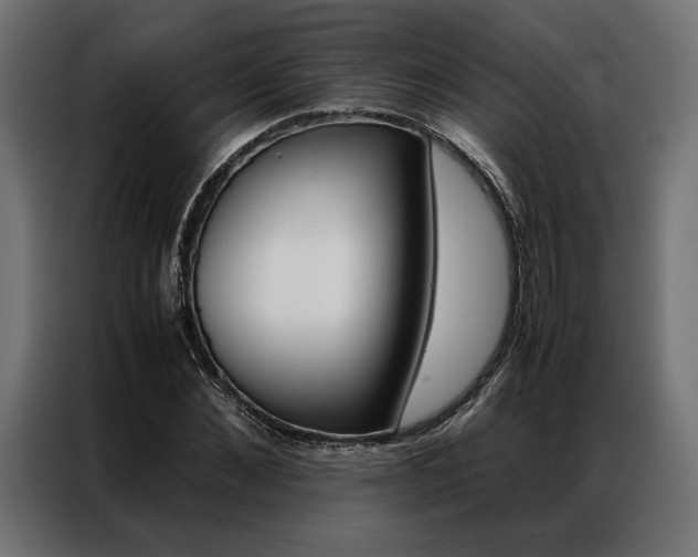 X0000086940876200704161033