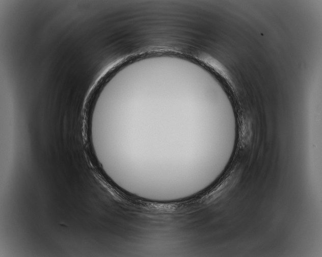 X0000086940878200704161033