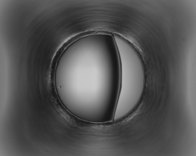 X0000086940880200704161033