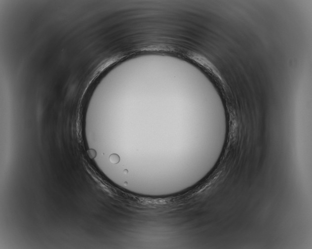 X0000086940882200704161033