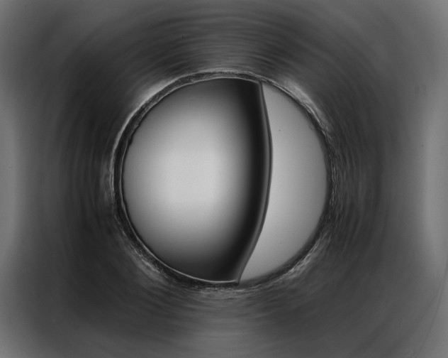 X0000086940884200704161033