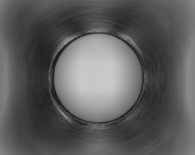 X0000086940890200704161032