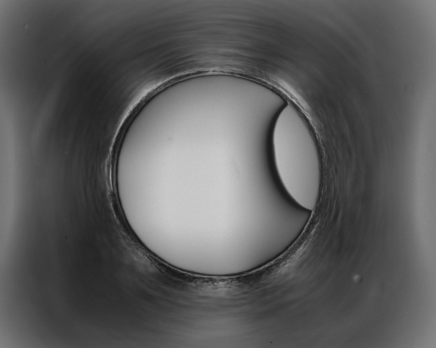 X0000086940891200704161032