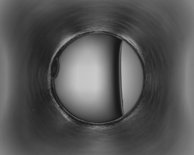 X0000086940894200704161032