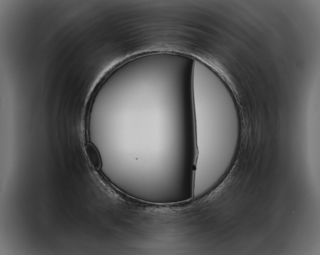 X0000086940896200704161032