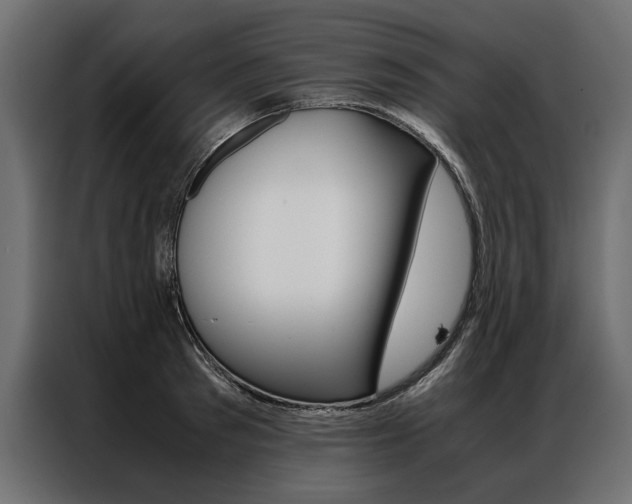 X0000086940897200704161032