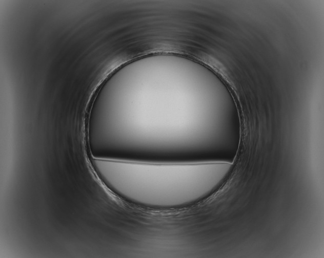 X0000086940898200704161032