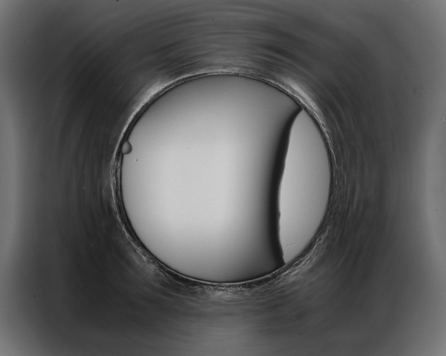 X0000086940899200704161032