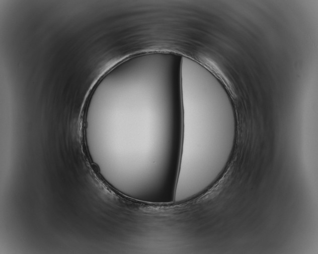 X0000086940900200704161032