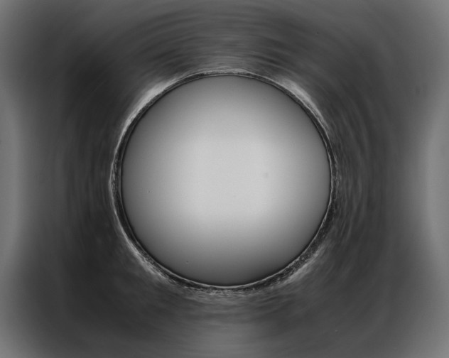X0000086940901200704161032