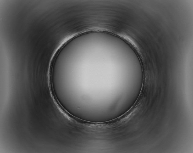 X0000086940902200704161032