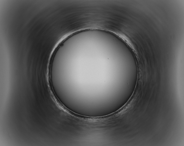 X0000086940904200704161032