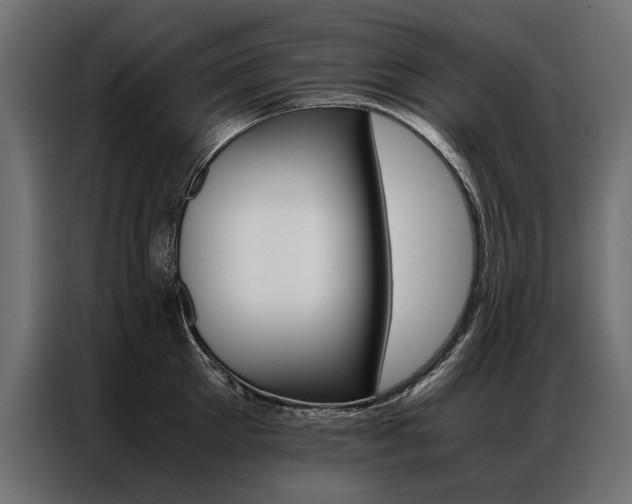 X0000086940905200704161032