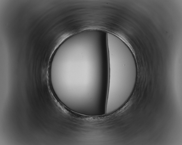 X0000086940906200704161032