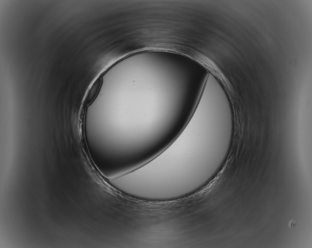 X0000086940908200704161032