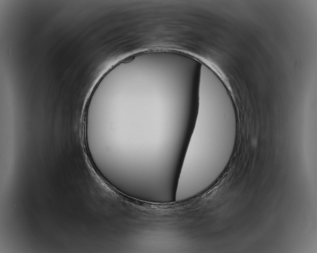 X0000086940911200704161032