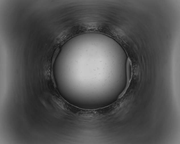 X0000086940916200704161031