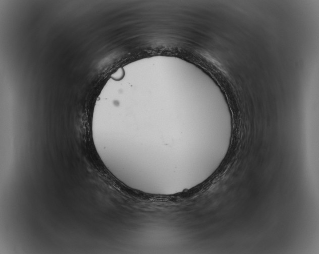 X0000086940918200704161031