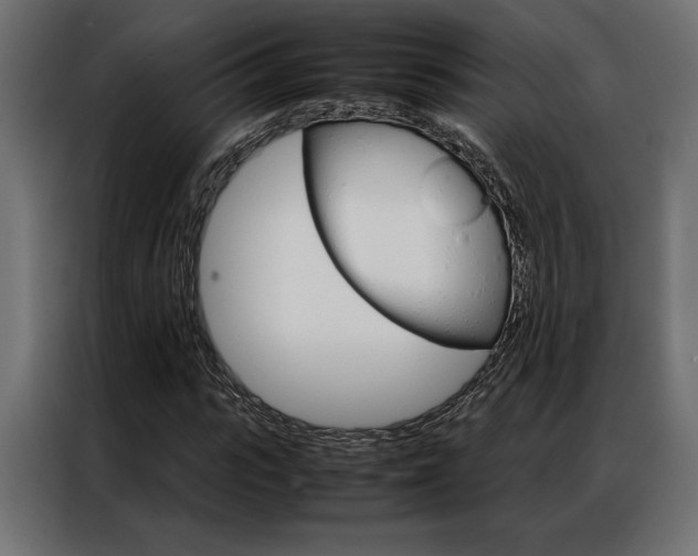 X0000086940919200704161031