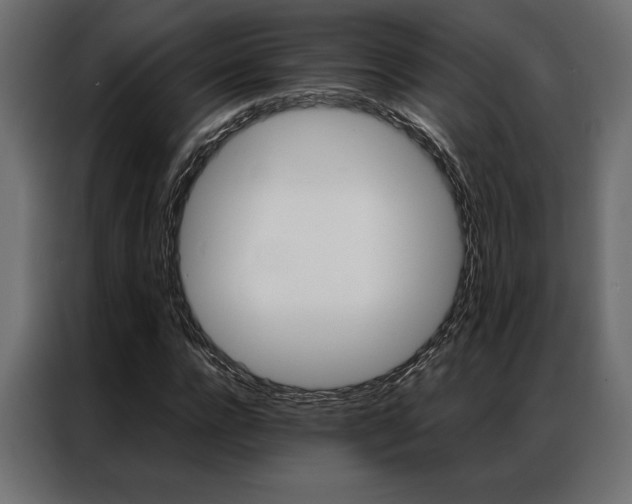 X0000086940920200704161031