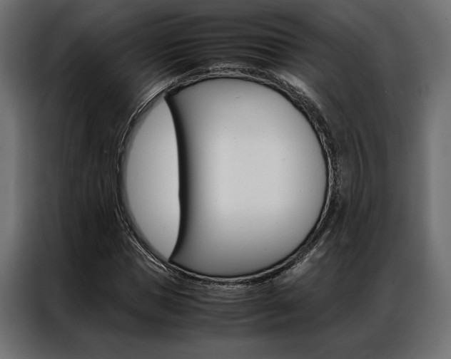 X0000086940921200704161032